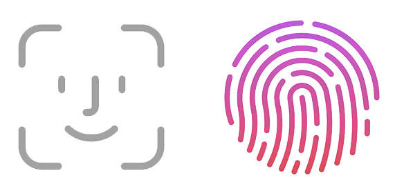 Biyometrik Giriş